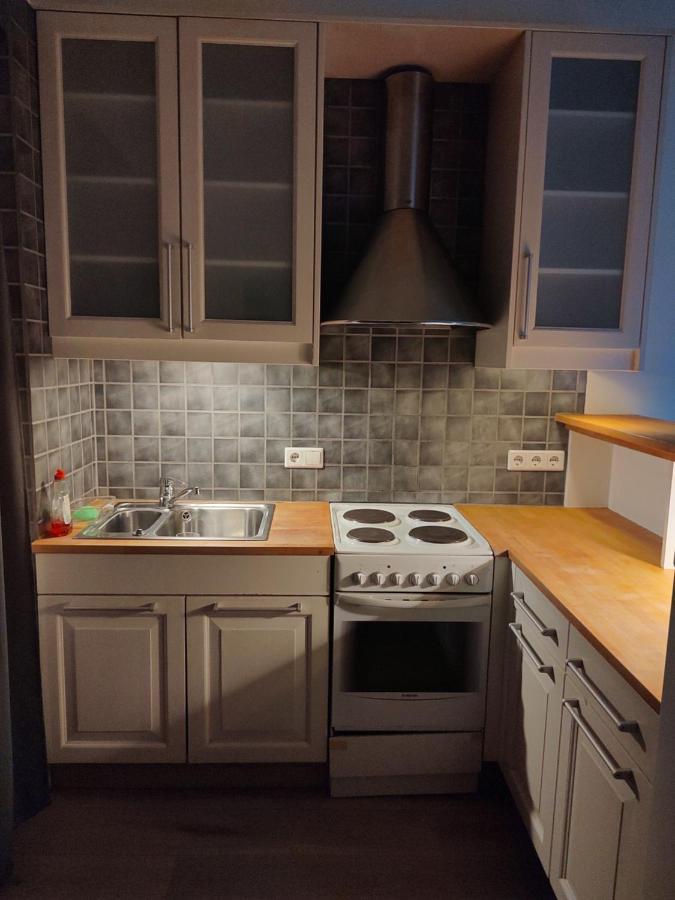 Dtown Apartment For 2-3 Persons レイキャヴィーク エクステリア 写真